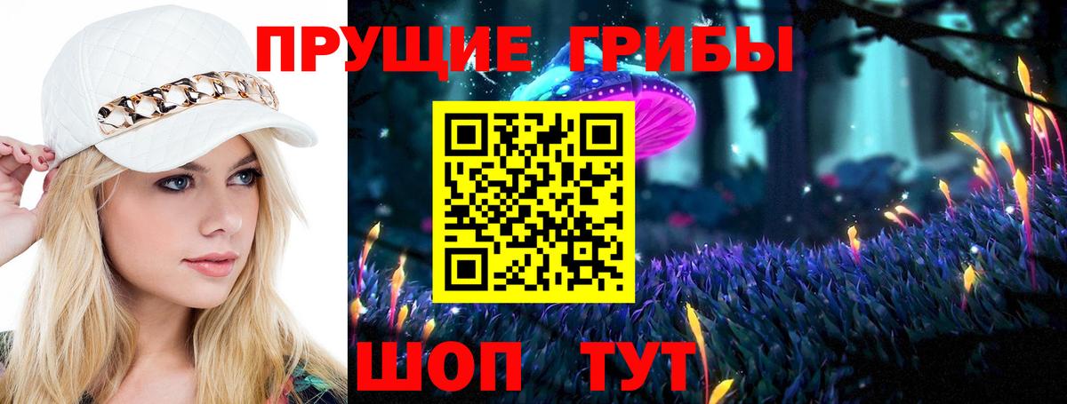 Галлюциногенные грибы GOLDEN TEACHER  Вход с VPN  Янаул 
