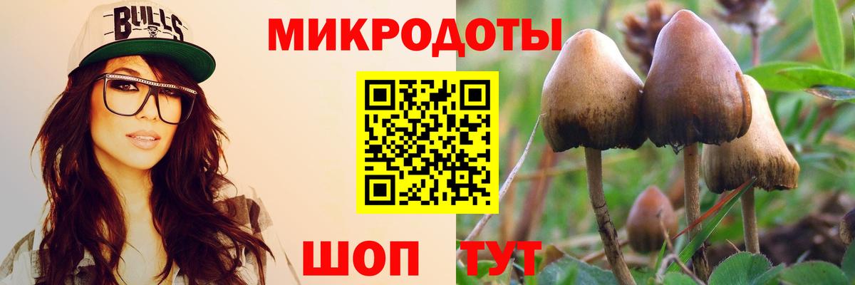 Псилоцибиновые грибы прущие грибы Янаул
